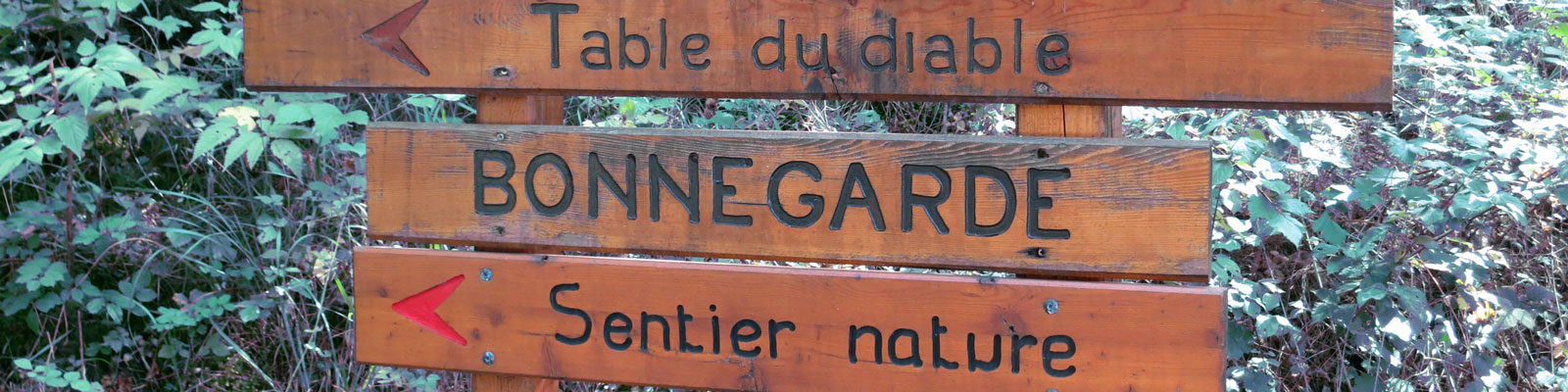 Bonnegarde