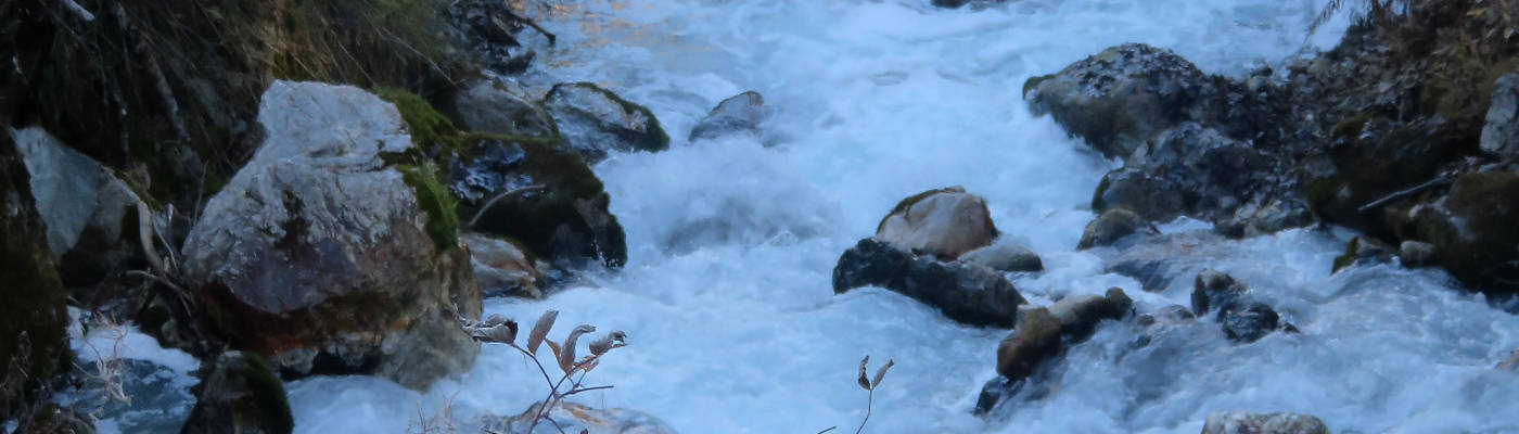 Pollution du Ponthurin